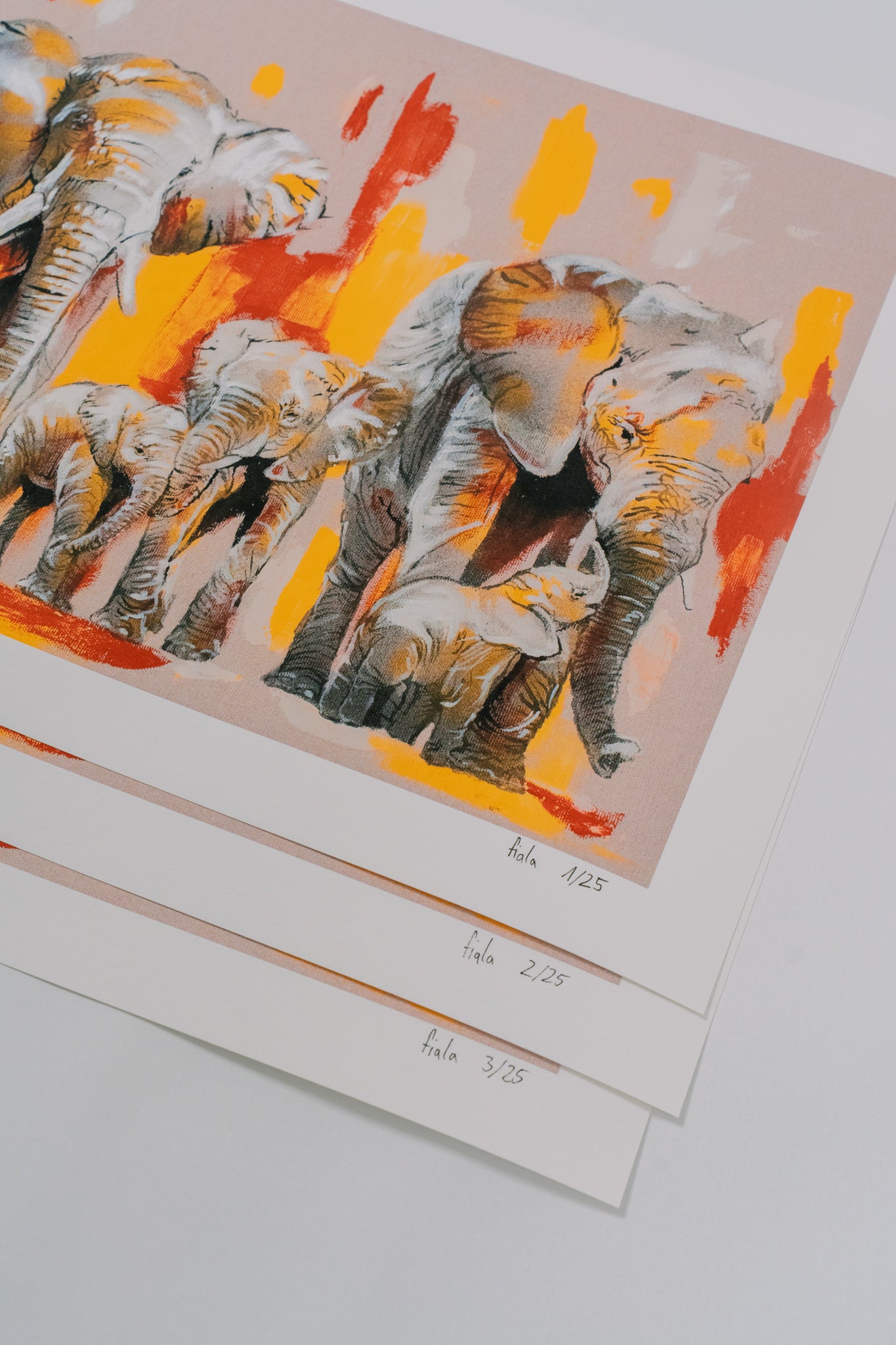 Generation No. 25 — Elephant Edition
