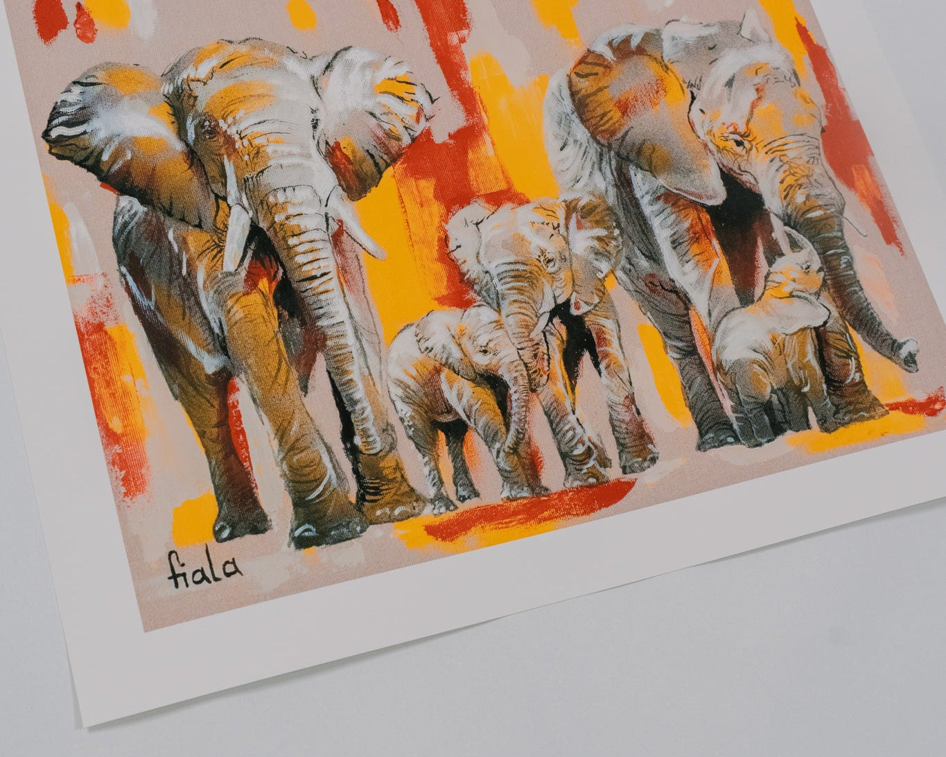 Generation No. 25 — Elephant Edition